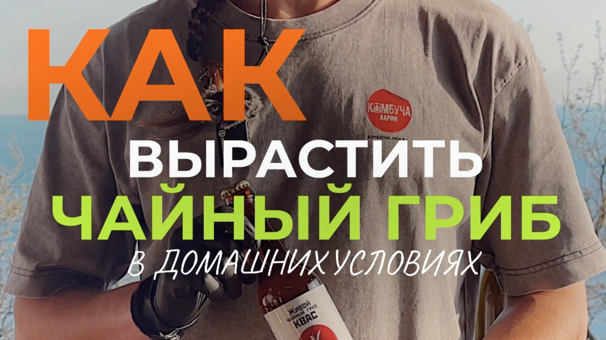 🍄 Как вырастить чайный гриб и приготовить комбучу в домашних условиях.