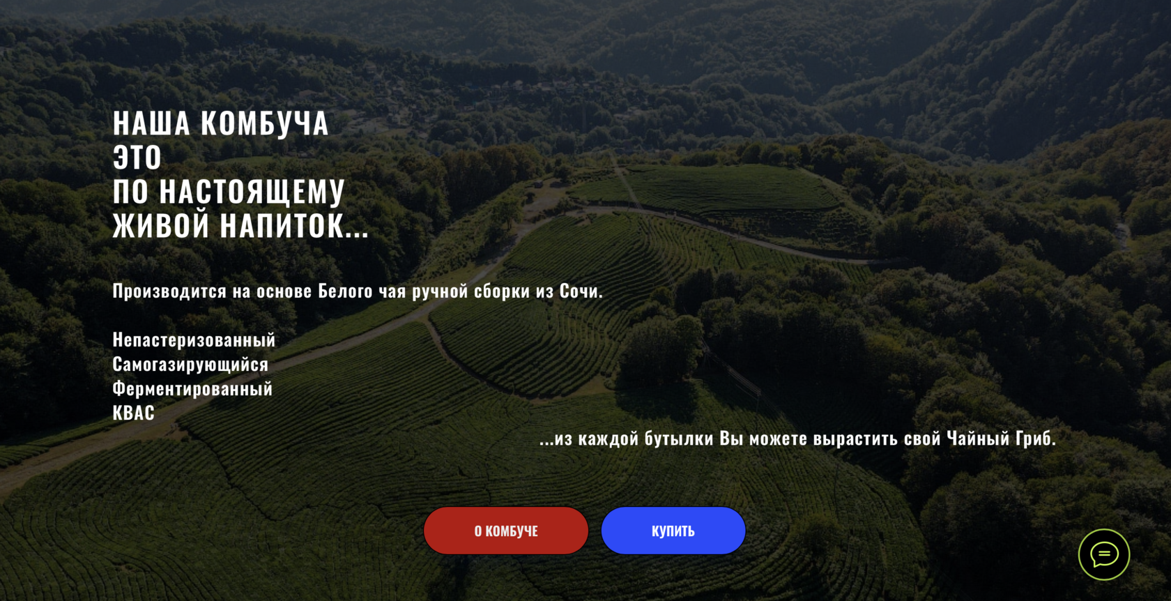Новые партнёры в Сочи